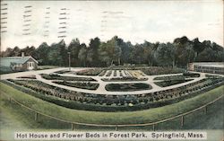 Hot House and Flower Beds in Forest Park Springfield, MA Postcard Postcard Postcard