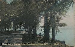 Shore Drive, Bemus Point Postcard