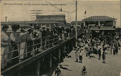 Watching Bathers, 4th Ave, Bathing Grounds Postcard