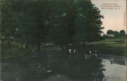 Scene Along Lawrence Brook Postcard