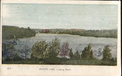White Lake, Looking North Postcard
