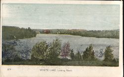 White Lake, Looking North New York Postcard Postcard Postcard