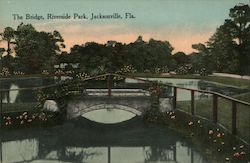 The Bridge, Riverside Park Postcard