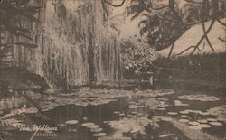 The WIllows Postcard