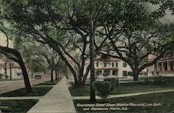 Government Street Scene Showing Mammoth Live Oaks and Residences Postcard