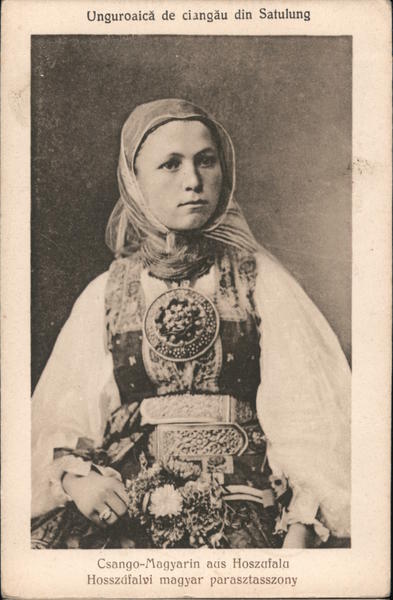 Unguroaica de ciangau din Satulung Romania Eastern Europe