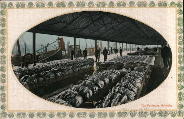 The Pontoons Grimsby England