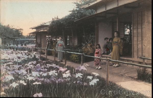 A beautiful garden full of flowers Japan