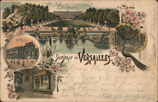 Souvenir of Versailles (Gruss Aus Style) France
