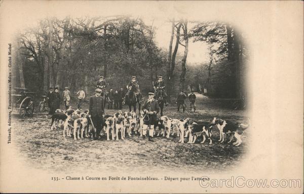 Chasse a Courre en Foret de Fontainbleau - Depart pour l'attaque France