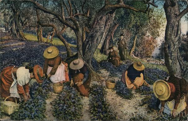 La Côte d'Azur France