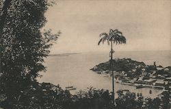 View of Island Postcard