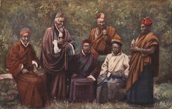 Group of Lamas Postcard