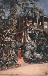 Terrace Hotel, Dunil, Cairo Postcard