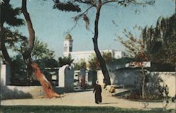 Egypt - Heliopolis. The virgins well and French Church Postcard