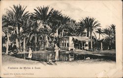 Fontaine de Moise a Suez Postcard