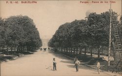 Paseo de los Tilos - Walk of the Lindens Postcard