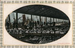 The Pontoons, Grimsby Postcard