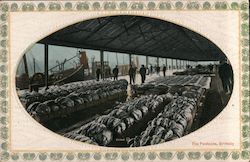 The Pontoons Postcard