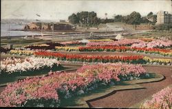 Part of garden at Littlecote, England Postcard Postcard Postcard