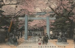 Cherry Blossoms at Shiba Park Postcard