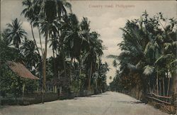 Country Road Postcard