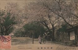 Momijizaka, Yokohama Postcard