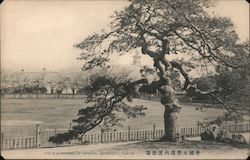 The playground of imperial university Tokyo Postcard