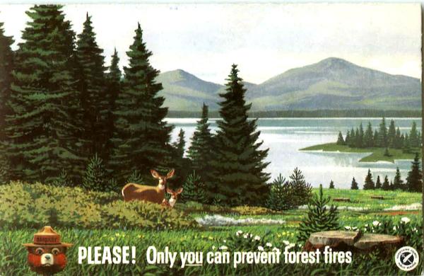 Please Only You Can Prevent Forest Fires Advertising