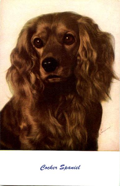 Cocker Spaniel Dogs