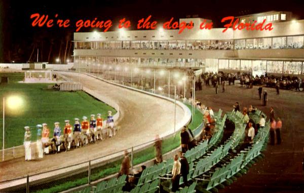 We're Going To The Dogs In Florida Dog Racing
