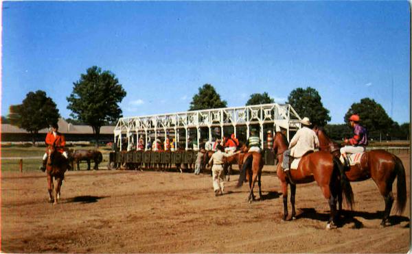 In The Adirondacks Saratoga Springs New York