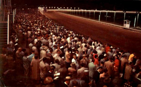 Night Scene At Batavia Downs Race Track New York