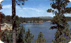 Lake Doran Custer, SD Postcard Postcard