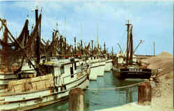 Fishing Boats Galveston, TX Postcard Postcard