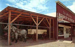 The Stradling Museum Of The Horse Inc Postcard