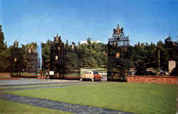 Studebaker , Forest Lawn Memorial Park Postcard