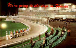 We're Going To The Dogs In Florida Postcard