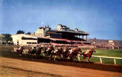 Caliente Race Track Postcard