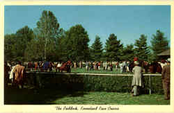 The Paddock Keen land Race Course Lexington, KY Postcard Postcard