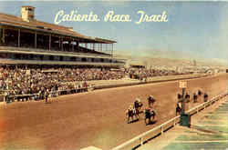 Caliente Race Track Tijuana, BC Mexico Postcard Postcard