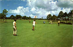 Golf Course Naples, FL Postcard Postcard