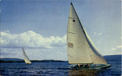Sailing Postcard