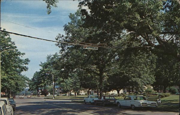 Nutty Narrows Bridge Longview Washington