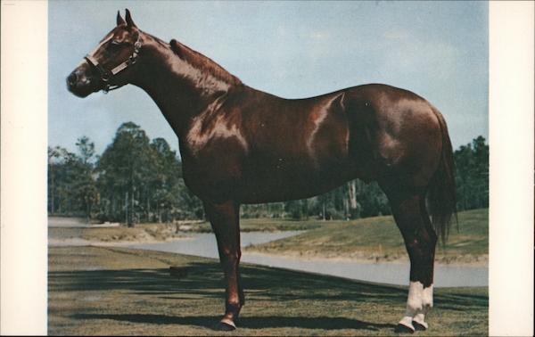 Pretending Fort Myers Florida