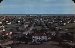 Randolph Air Force Base Postcard