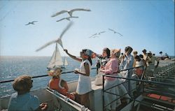 Excursion Boat to Martha's Vineyard Postcard