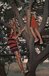 Go Climb a Tree Faxon, OK Postcard Postcard 
