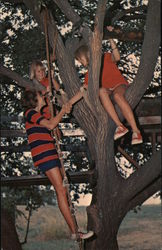 Go Climb a Tree Faxon, OK Postcard Postcard Postcard