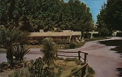 Desert Cypress Trailer Ranch Postcard